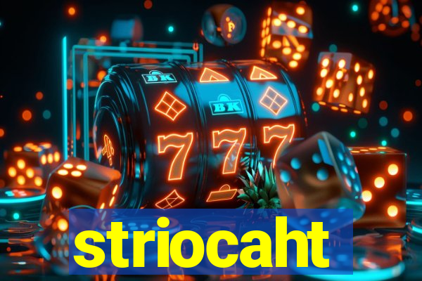 striocaht