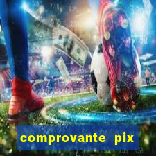 comprovante pix fake meme