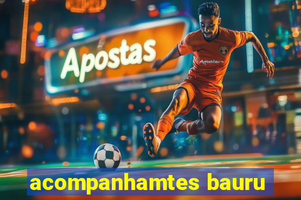 acompanhamtes bauru