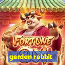 garden rabbit