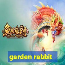 garden rabbit