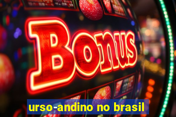 urso-andino no brasil