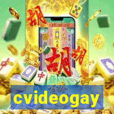 cvideogay