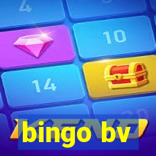 bingo bv