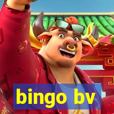 bingo bv