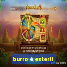 burro é esteril