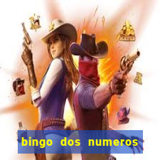 bingo dos numeros de 1 a 30