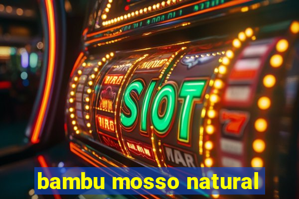 bambu mosso natural