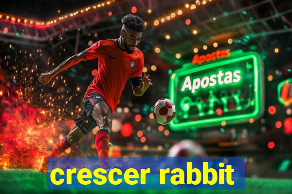 crescer rabbit