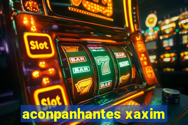 aconpanhantes xaxim