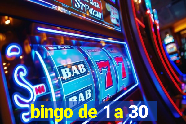 bingo de 1 a 30