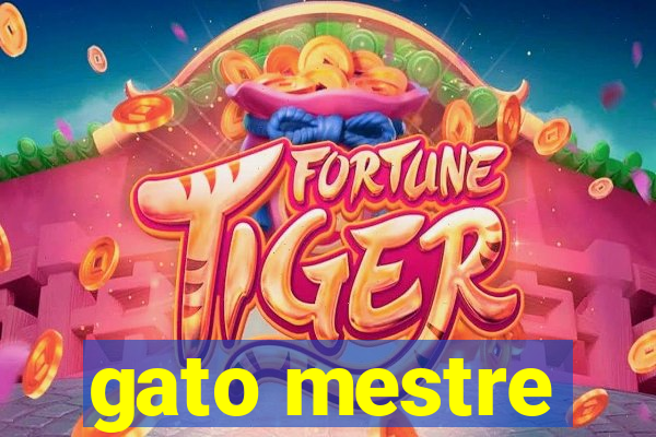 gato mestre