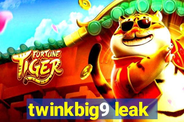 twinkbig9 leak