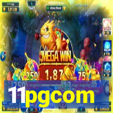 11pgcom