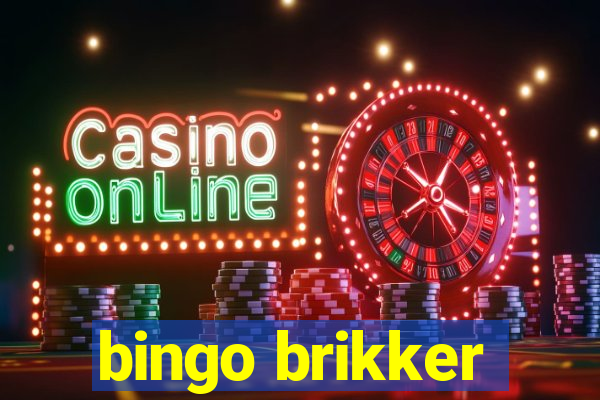 bingo brikker