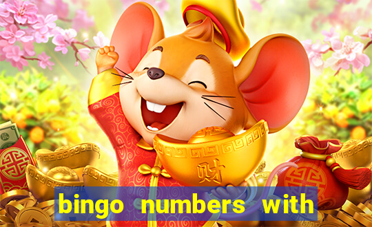 bingo numbers with highest probability