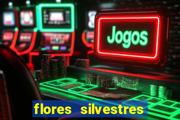 flores silvestres desbravadores desbravadores 25