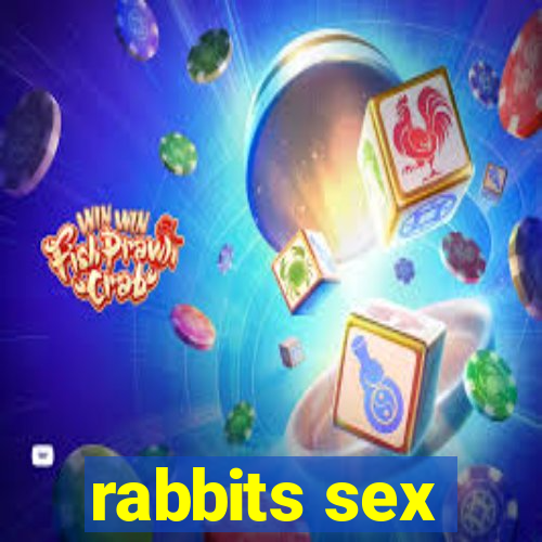 rabbits sex