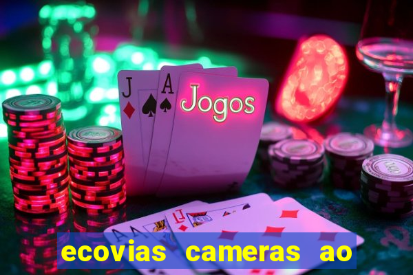 ecovias cameras ao vivo santos