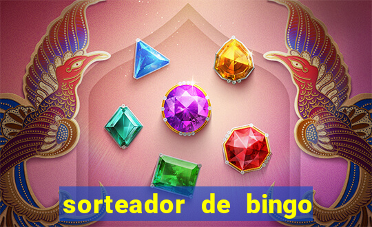 sorteador de bingo 90 bolas online