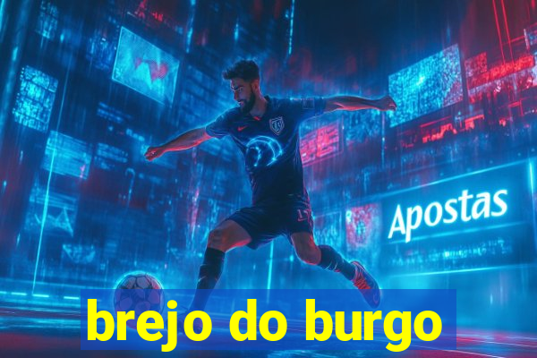 brejo do burgo