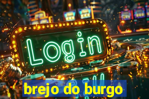 brejo do burgo