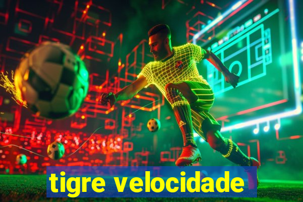 tigre velocidade