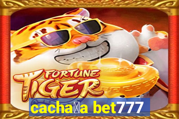 cacha莽a bet777