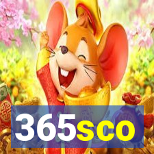 365sco