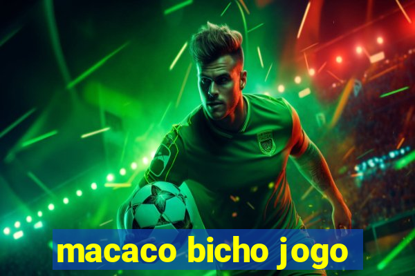 macaco bicho jogo