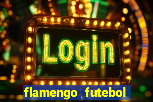 flamengo futebol play hd