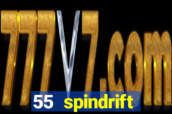 55 spindrift williamsville ny