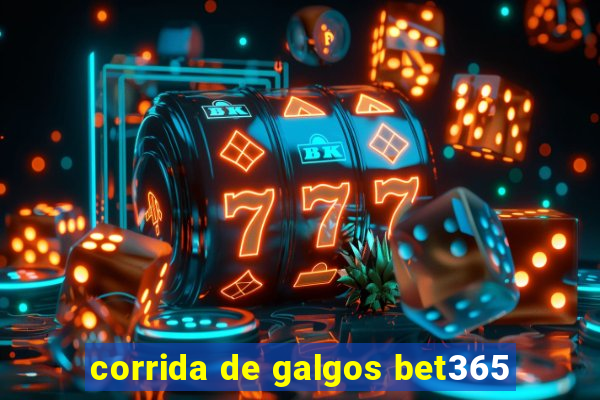 corrida de galgos bet365