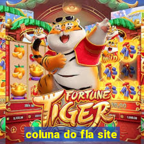 coluna do fla site