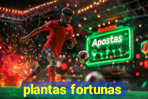 plantas fortunas