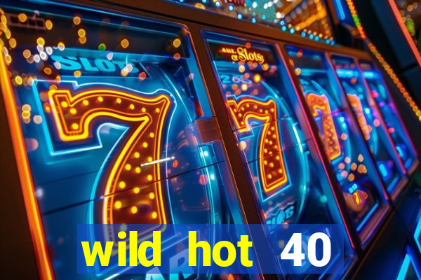 wild hot 40 christmas slot