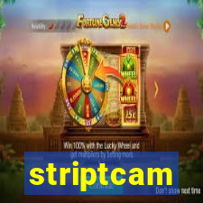 striptcam