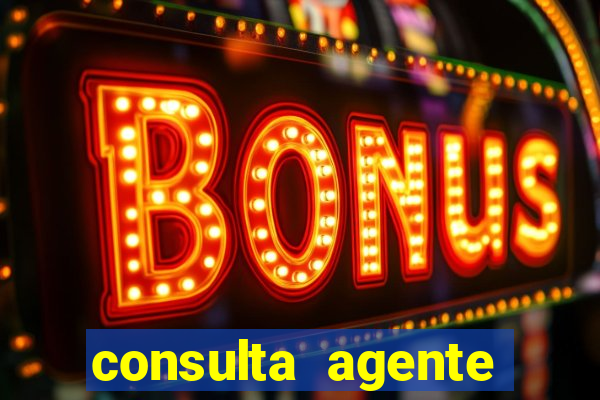 consulta agente autuador sp