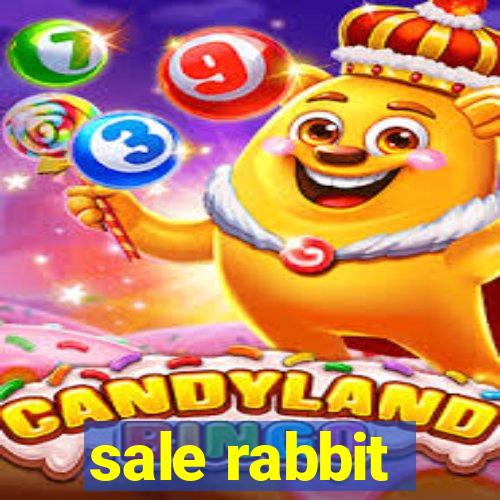 sale rabbit