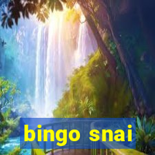 bingo snai