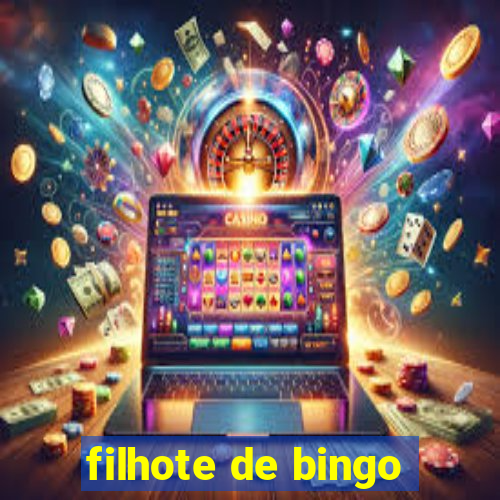 filhote de bingo