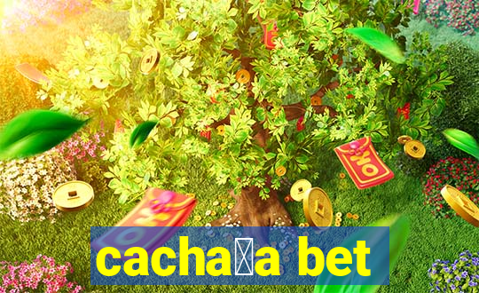 cacha莽a bet