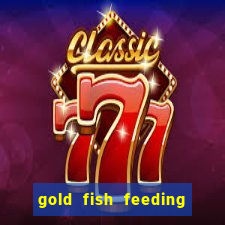 gold fish feeding time slot machine