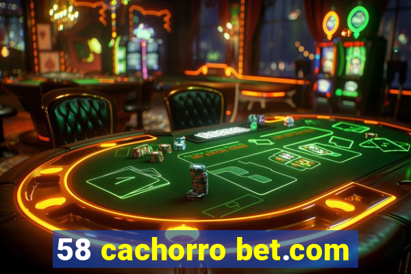 58 cachorro bet.com