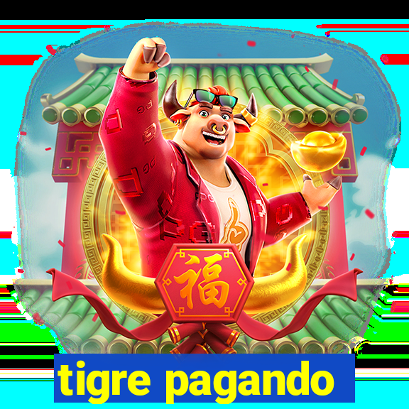 tigre pagando