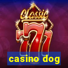 casino dog