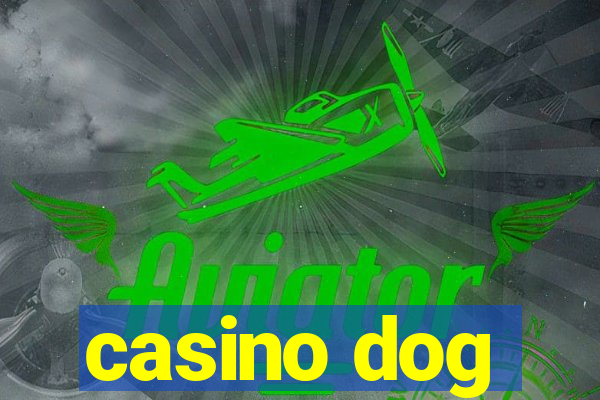 casino dog