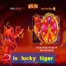 is lucky tiger casino legit