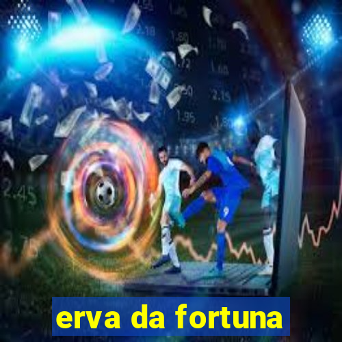 erva da fortuna