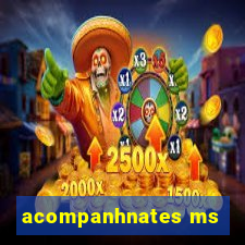 acompanhnates ms